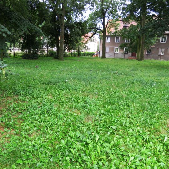 Cmentarz żydowski w Nowym Mieście Lubawskim