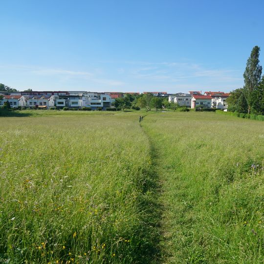 Seggenried Gutwiesen