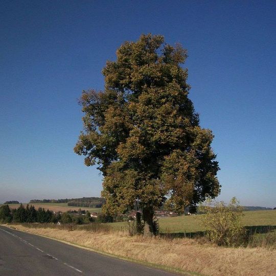 Kříž jihovýchodně od Skašova