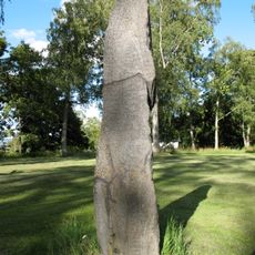 Salebystenen (Vg 67)