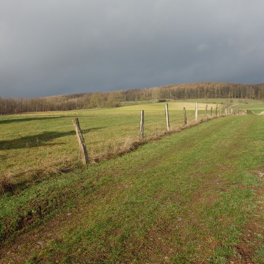 Randhöhen zwischen Sintfeld und Diemeltal