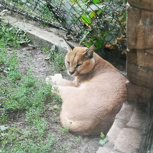 Toruń Zoobotanical Garden