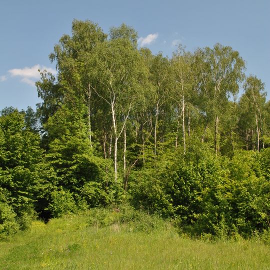 Ivanivskyi sanctuary