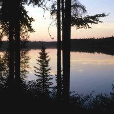 Wood-Buffalo-Nationalpark