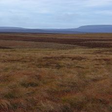 Cotherstone Moor