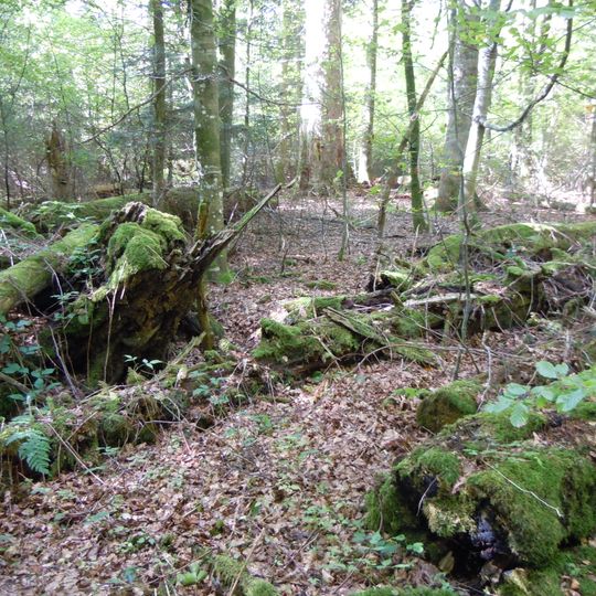 Freudenstädter Heckengäu