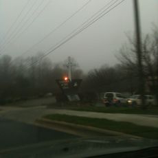 Cathedral of His Glory