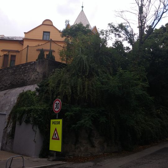 Vila so záhradou, vila