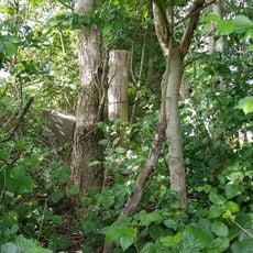 Belgium-Netherlands boundary stone no. 86a
