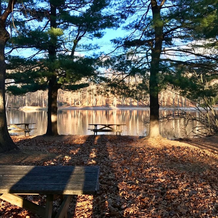Wharton Brook State Park