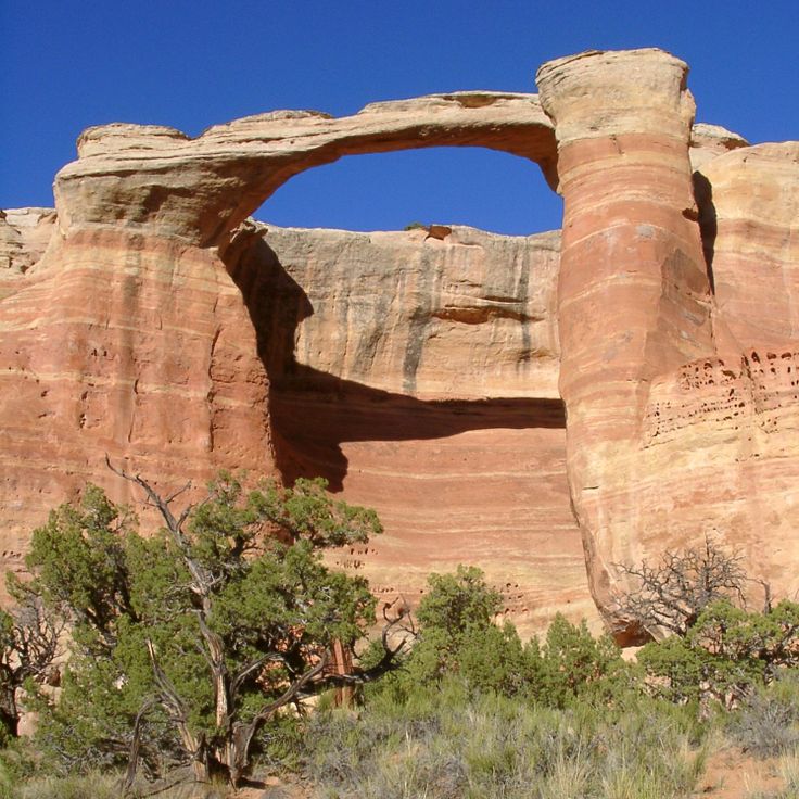 Rattlesnake Arches
