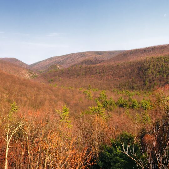 Bald Eagle State Forest