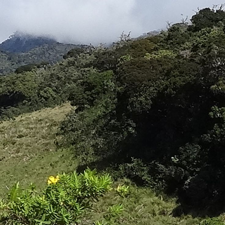 Park Narodowy Horton Plains