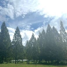Ichikura farm