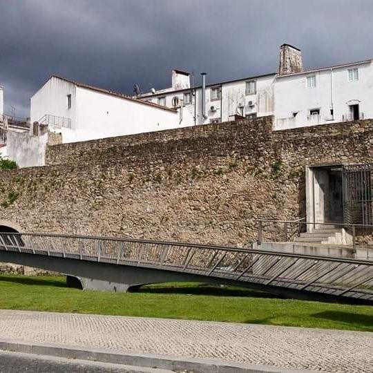 Palácio dos Condes de Castelo Branco
