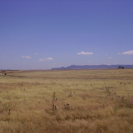La Serena