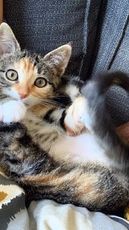 Princesse Pich’