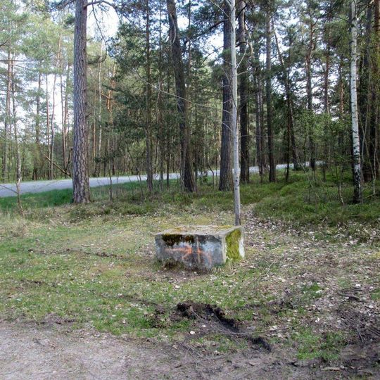 Podstavec severně od Hvozdu u rozcestí v lese