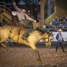 Pikes Peak or Bust Rodeo