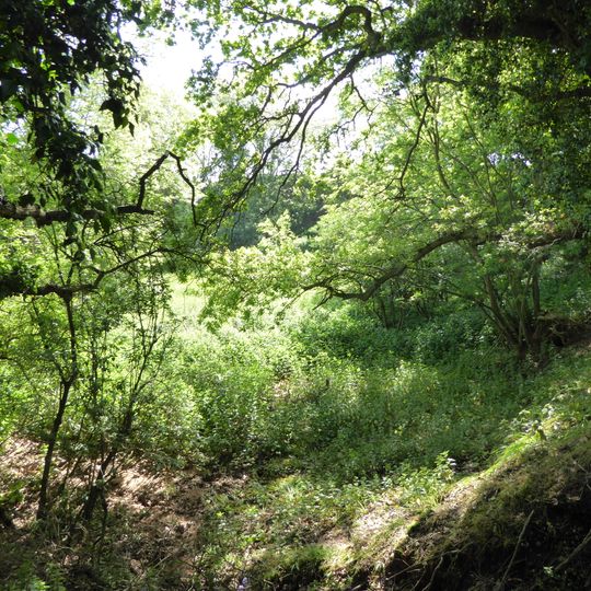 Neutral Farm Pit, Butley