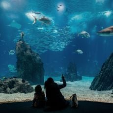 Lisbon Oceanarium