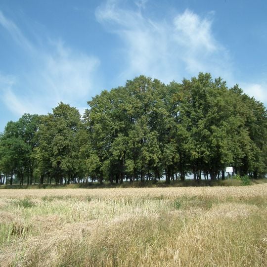 Cmentarz wojenny w Dębszczyźnie