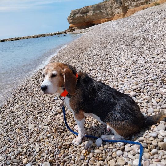 Cala de les Llanetes