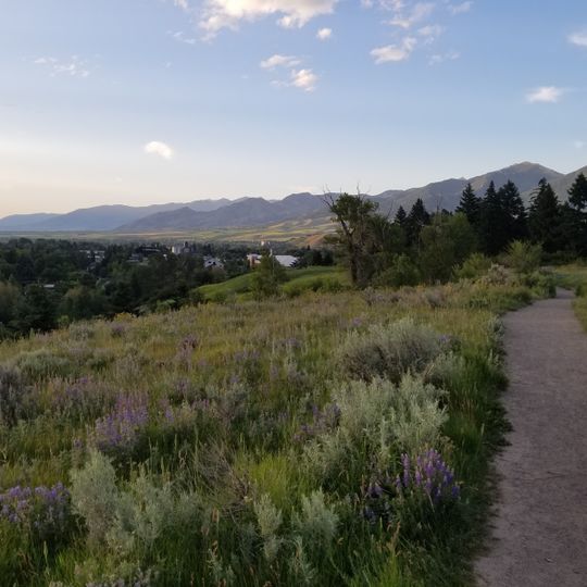 Peets Hill/Burke Park