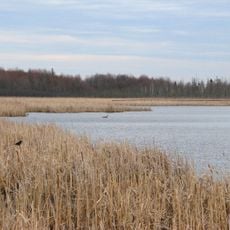 Mer Bleue Conservation Area