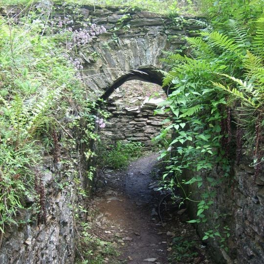 Mont Royal