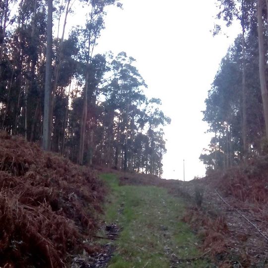 Lamas, San Sadurniño