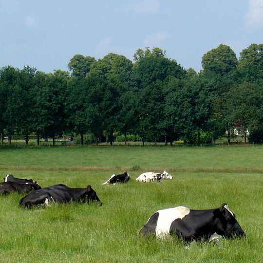 Gieten