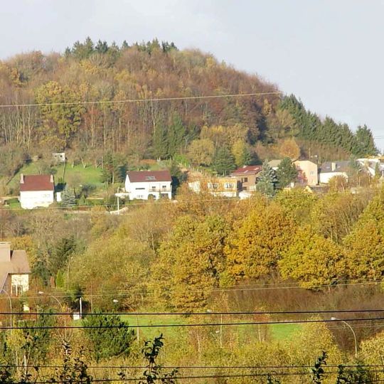 Zolwerknapp