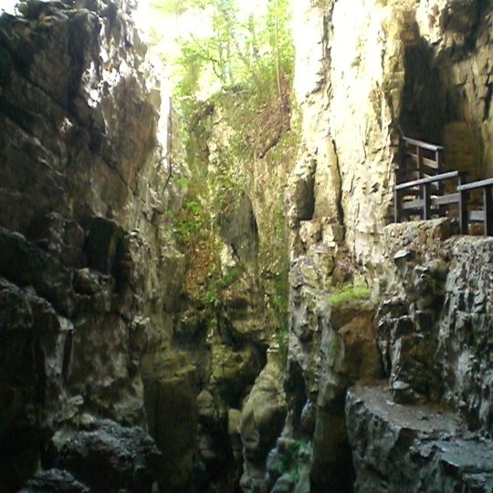 Oasi Grotte del Bussento