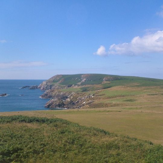Saltee Islands