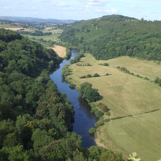 Forest of Dean