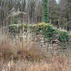 Ruine Nienburg