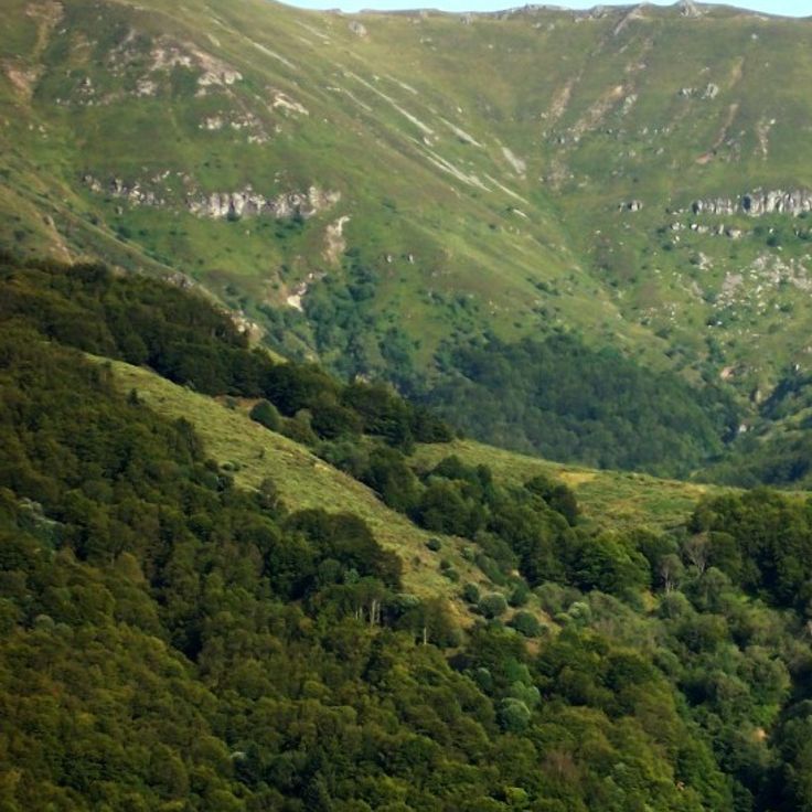 Plomb du Cantal