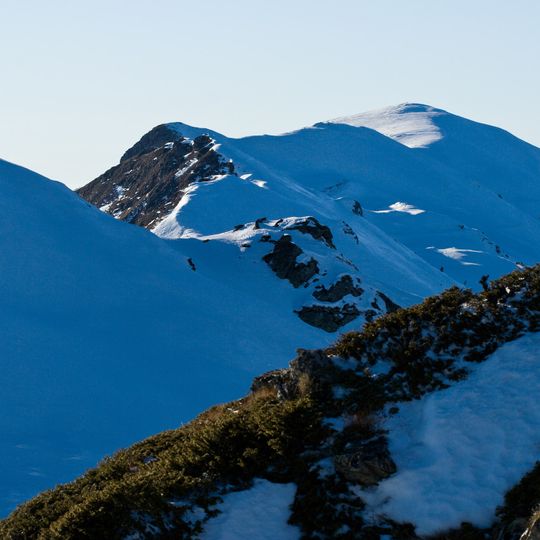 Belasica