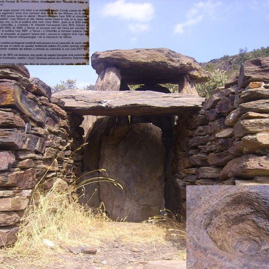 Dolmen de les Comes Llobres dels Pils