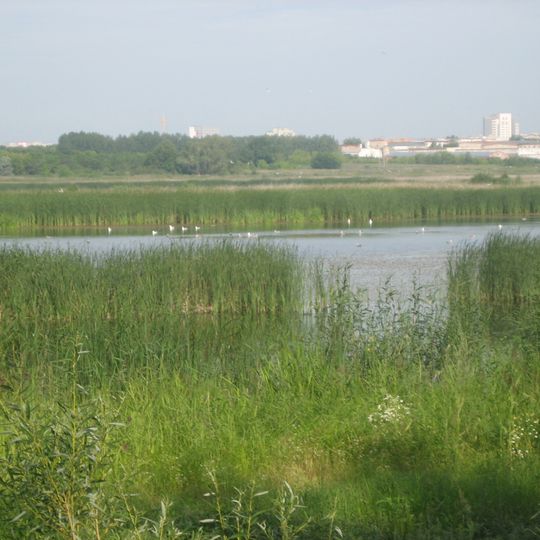 Pamyatnik Prirody Ptich'ya Gavan'