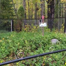 Братcкая могила партизан, погибших в годы Гражданской войны (Святнаволок)