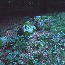 Großsteingrab Pinnesgrab