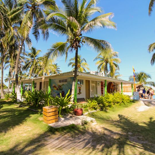 Palmarito Beach