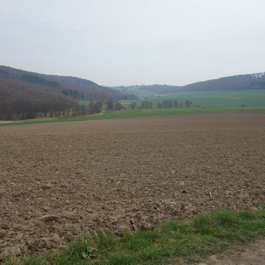 Freiflächen im Lühlingsbachtal