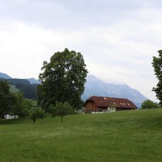 Linde bei der Volksschule Mitterweng