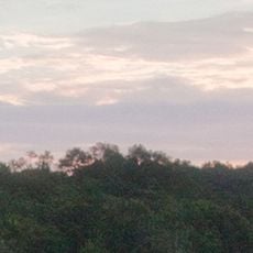 Parc national de Tanjung Puting