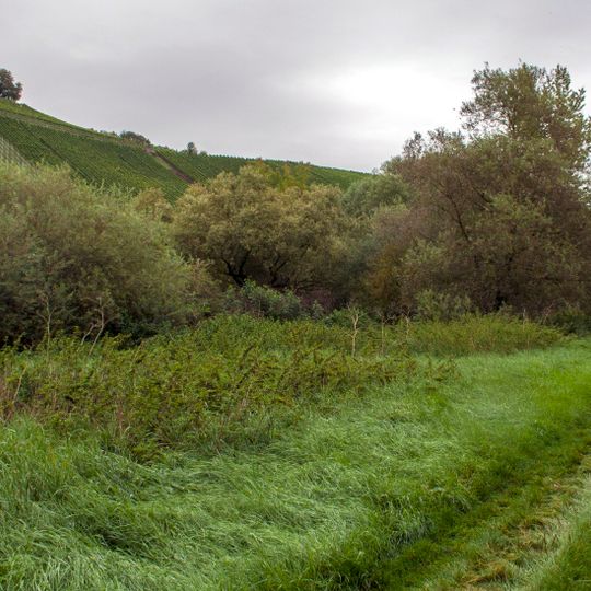 Mainaue zwischen Grafenrheinfeld und Kitzingen