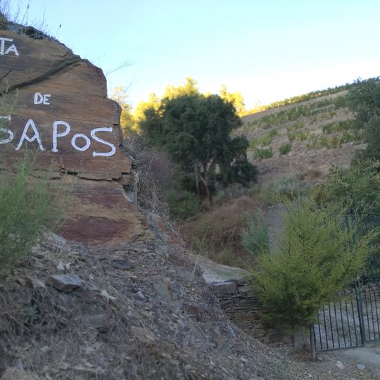 Quinta de Sapos