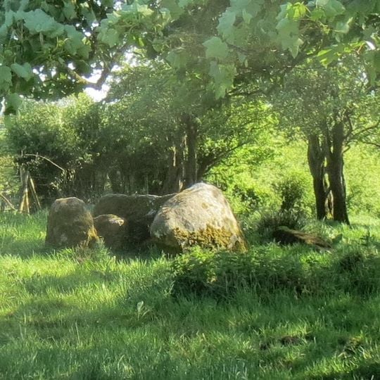 Portal Tomb von Cloghfin